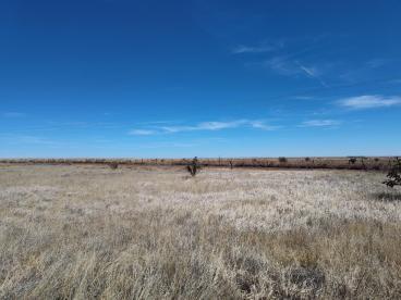 Photo 4 — Tract A Spencer Ranch Road