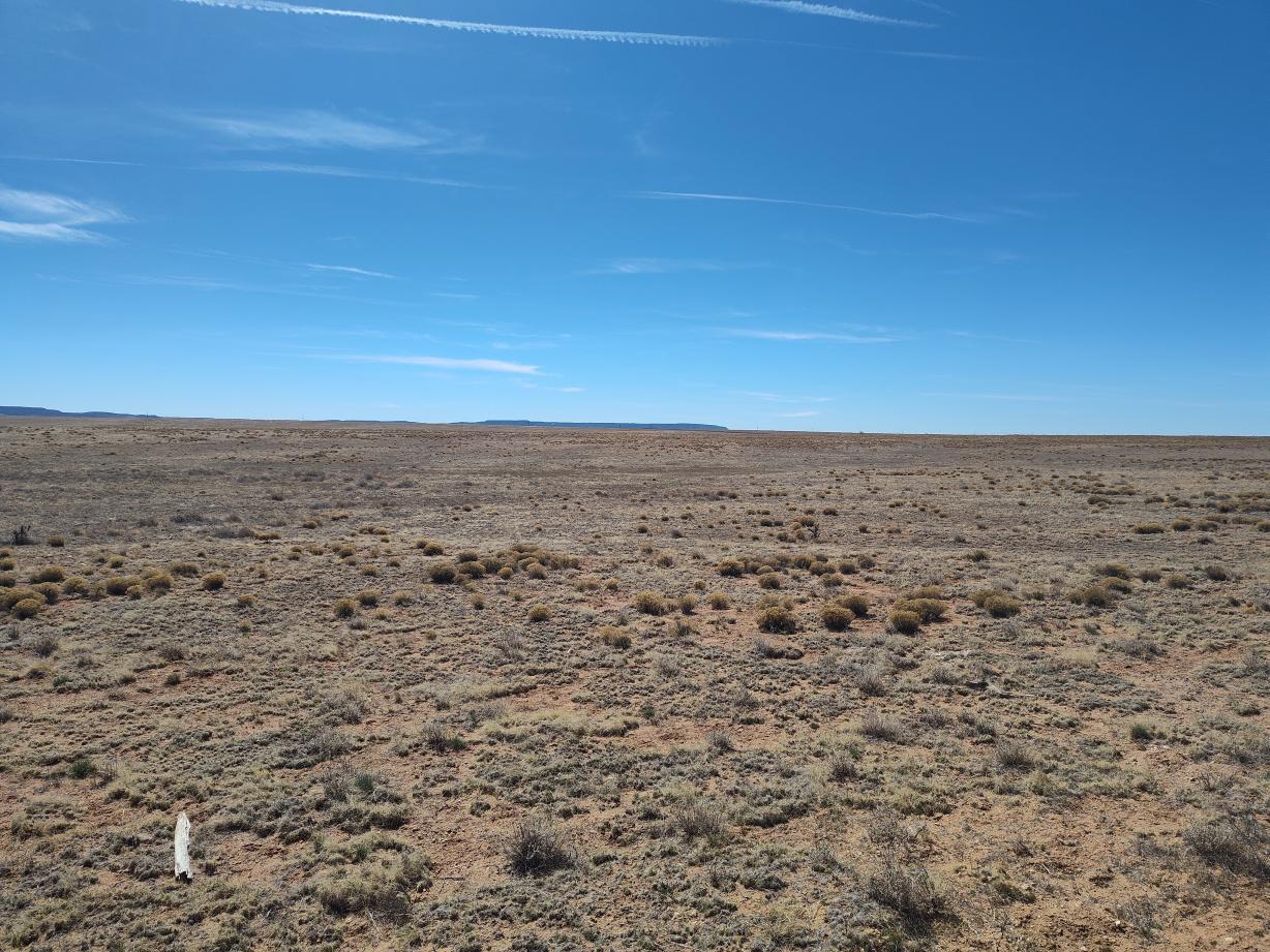Homes for sale in Mountainair, NM | Tr 1,2,3,4 Old Willard Rd, Mountainair, NM 87036 | MLS# 1100438