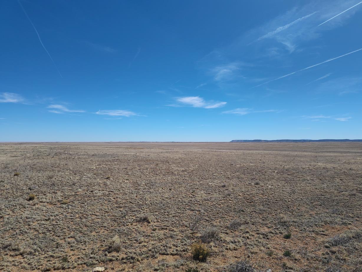 Photo 5 — TR 1,2,3,4 Old Willard Road