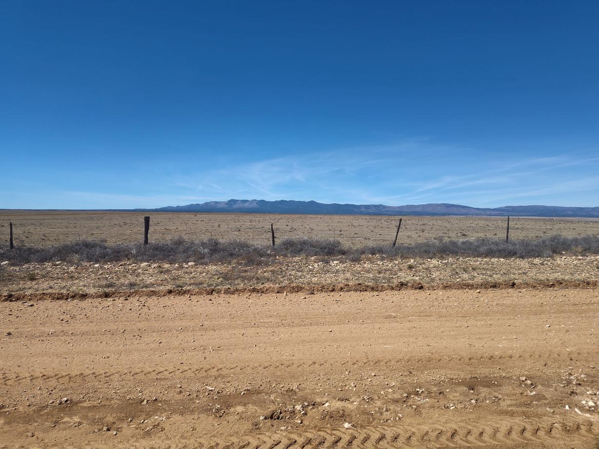 Photo 7 — TR 1,2,3,4 Old Willard Road