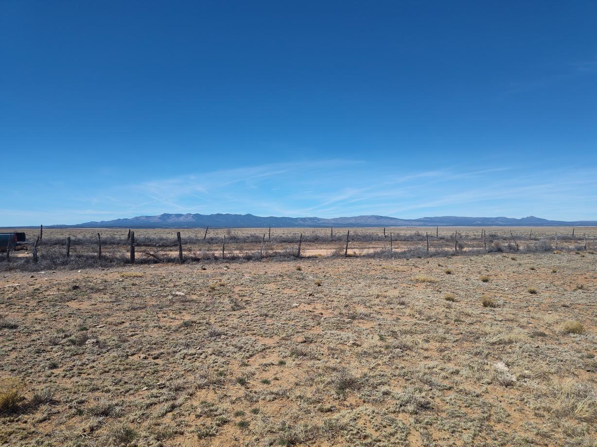 Photo 17 — Tracts 1&2 Old Willard Road