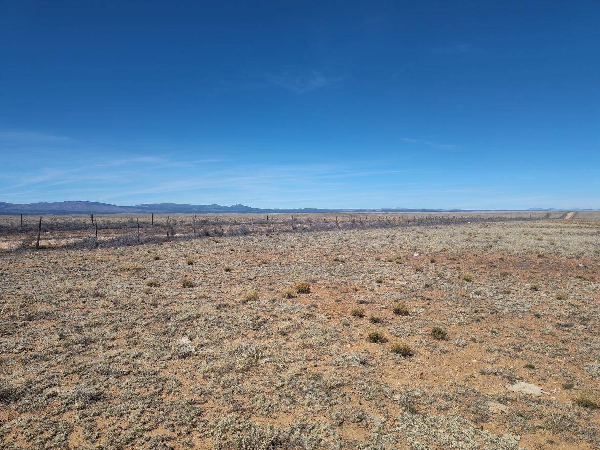 Homes for sale in Mountainair, NM | Tracts 1&2 Old Willard Rd, Mountainair, NM 87036 | MLS# 1100439