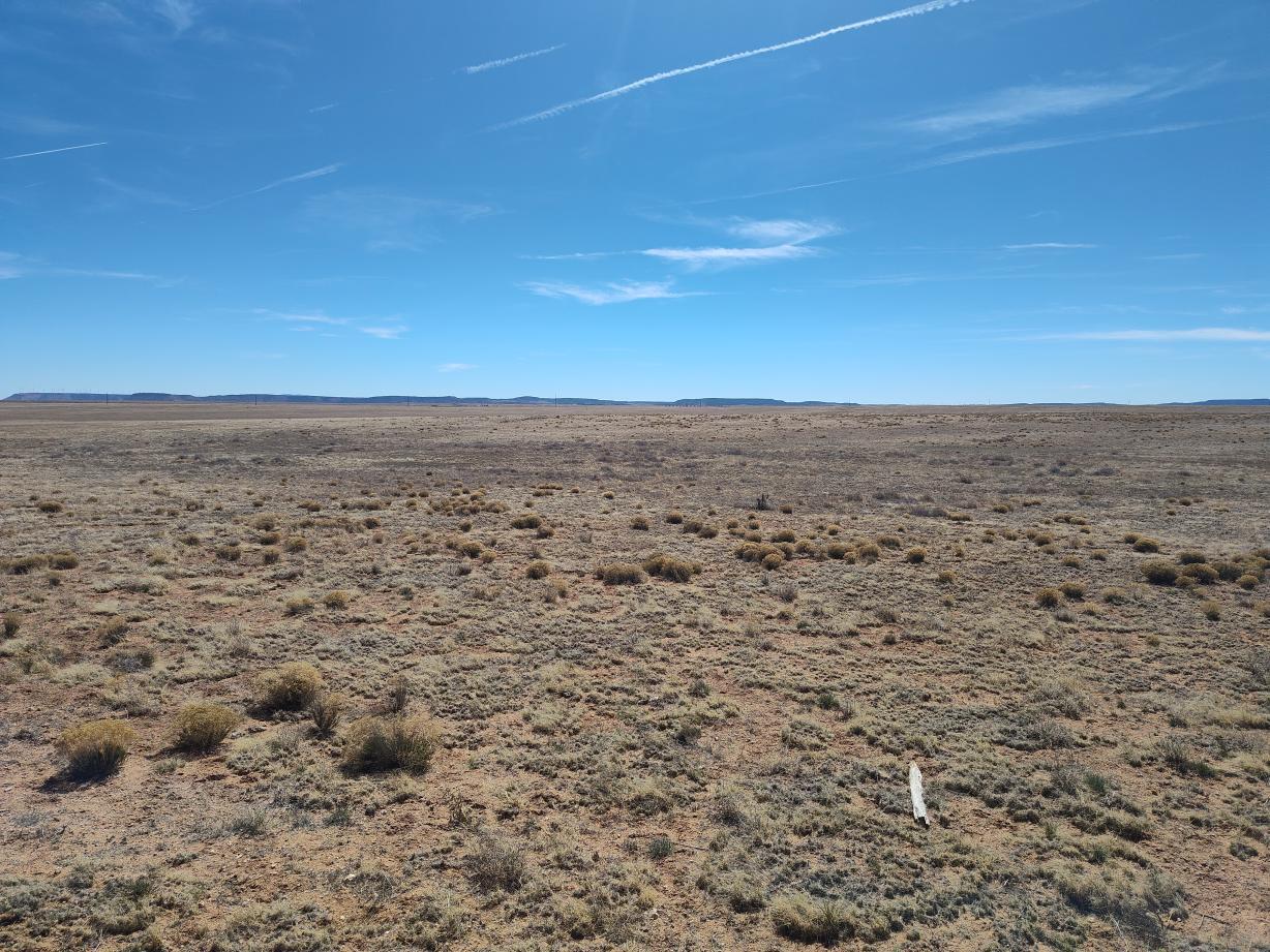 Photo 19 — Tracts 1&2 Old Willard Road