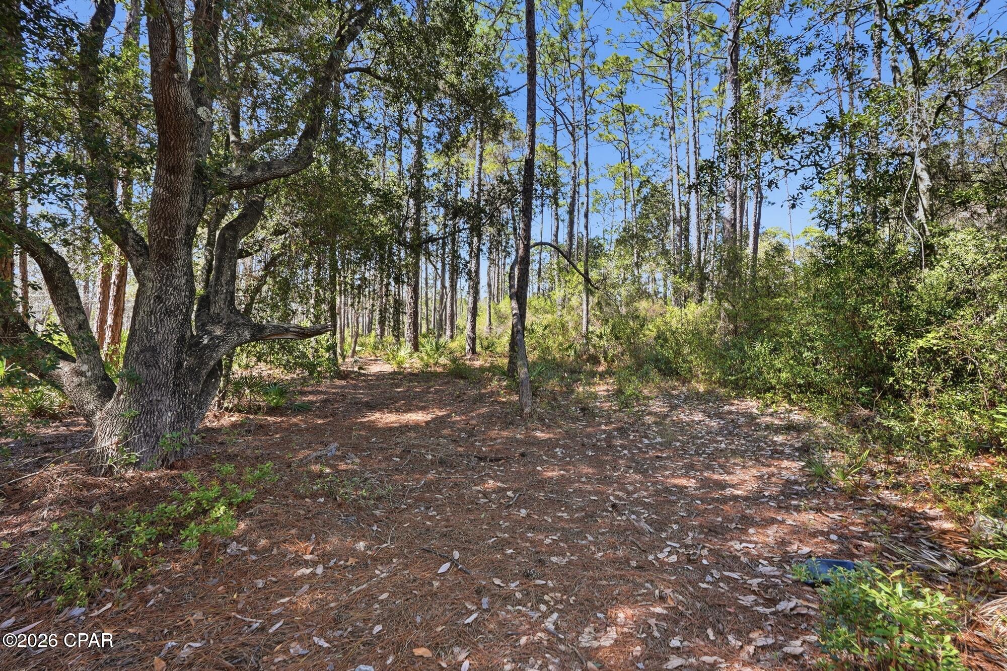 Image 13 For 22100 Trumpet Trail