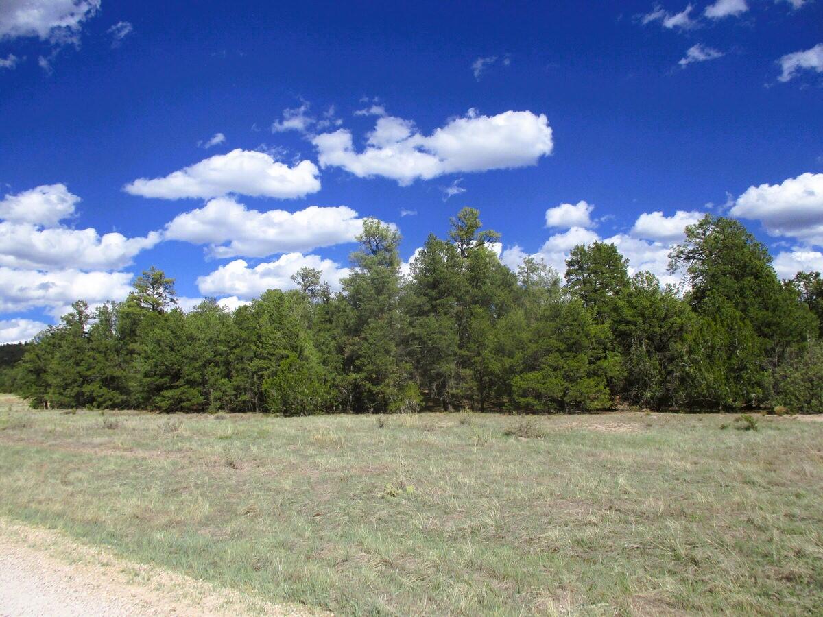 2nd image of Lot 5 Copperweed Rd, Ramah, NM 87321 | MLS# 1100490