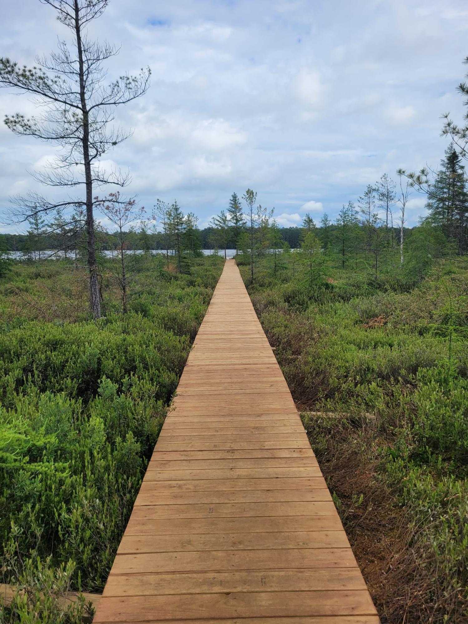 Dollar Lake Property 1354 Dollar Lake Rd Photo 20