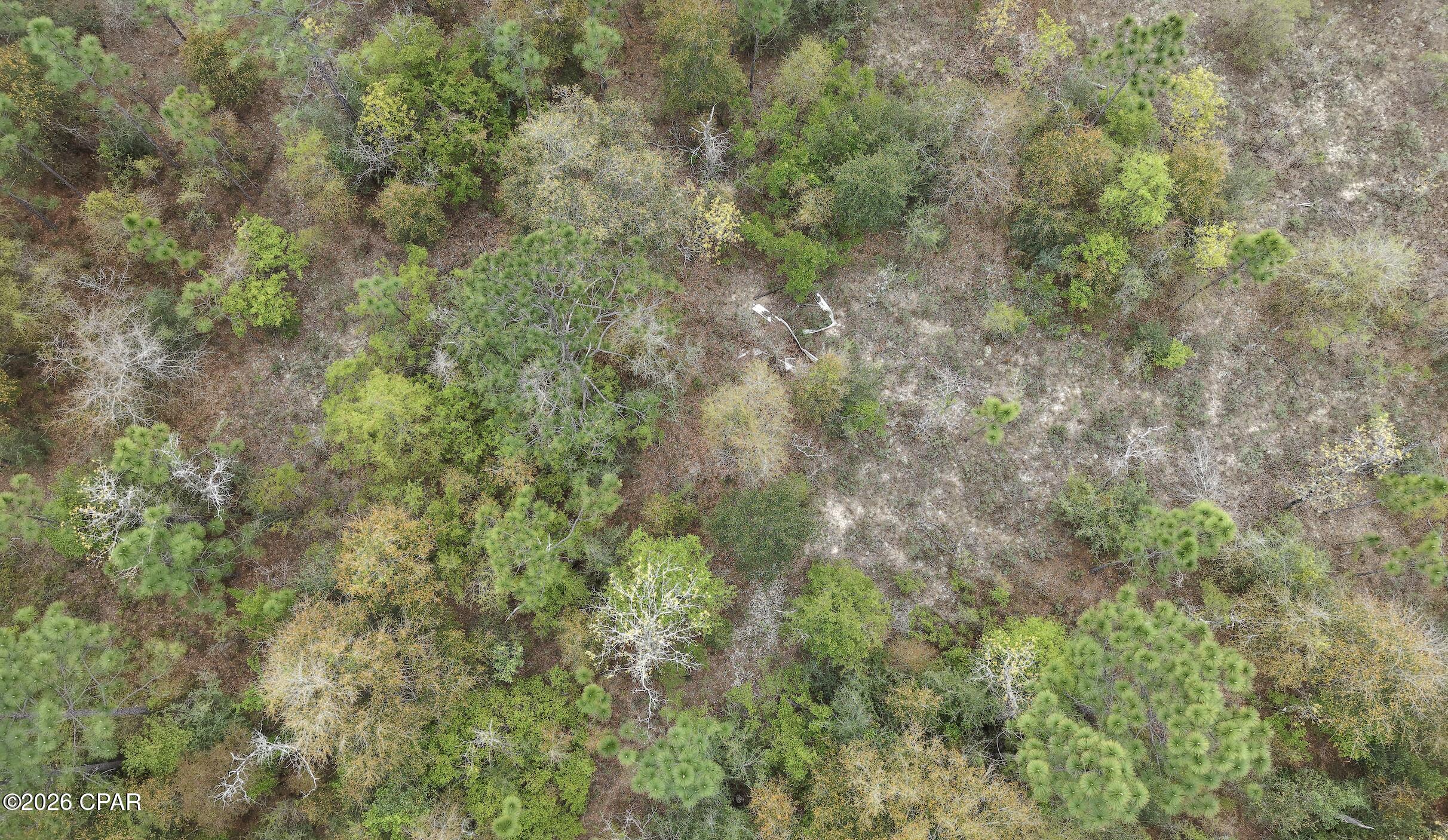 Details for 000 Darlington Drive, Chipley, FL 32428