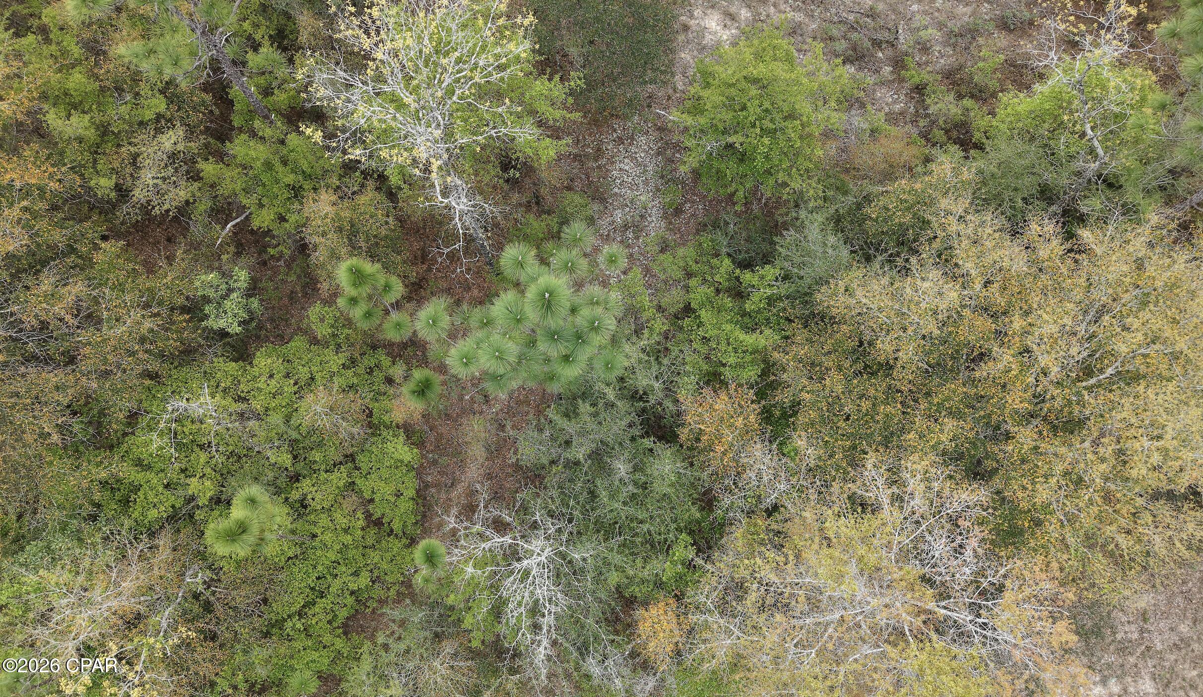 Image 3 For 000 Darlington Drive