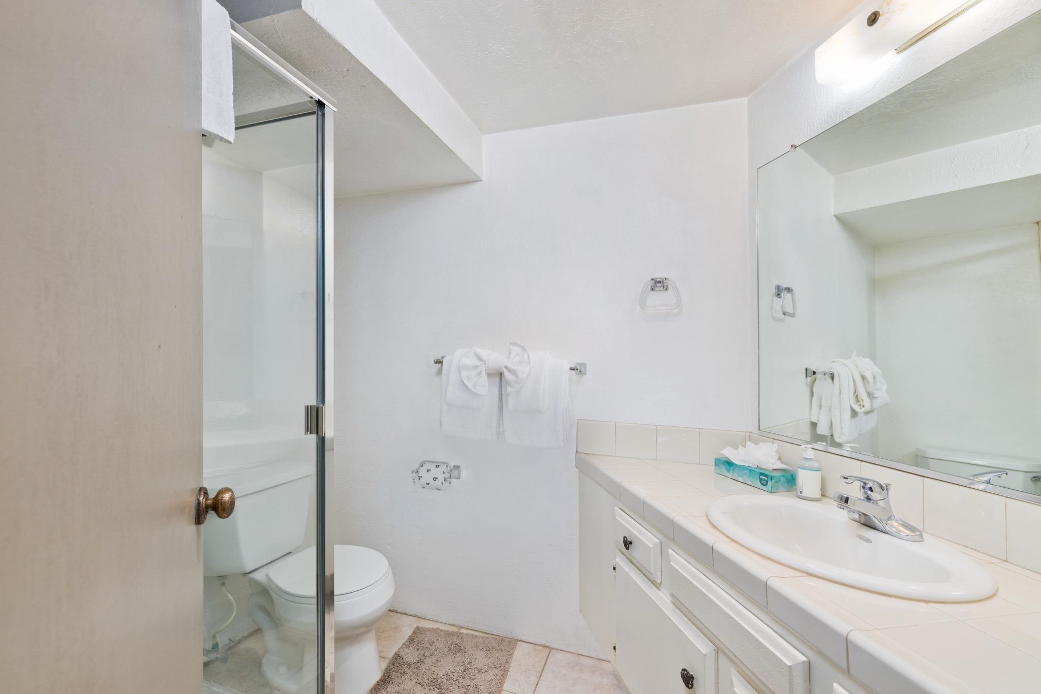 286 Old Mammoth #56 Road 56