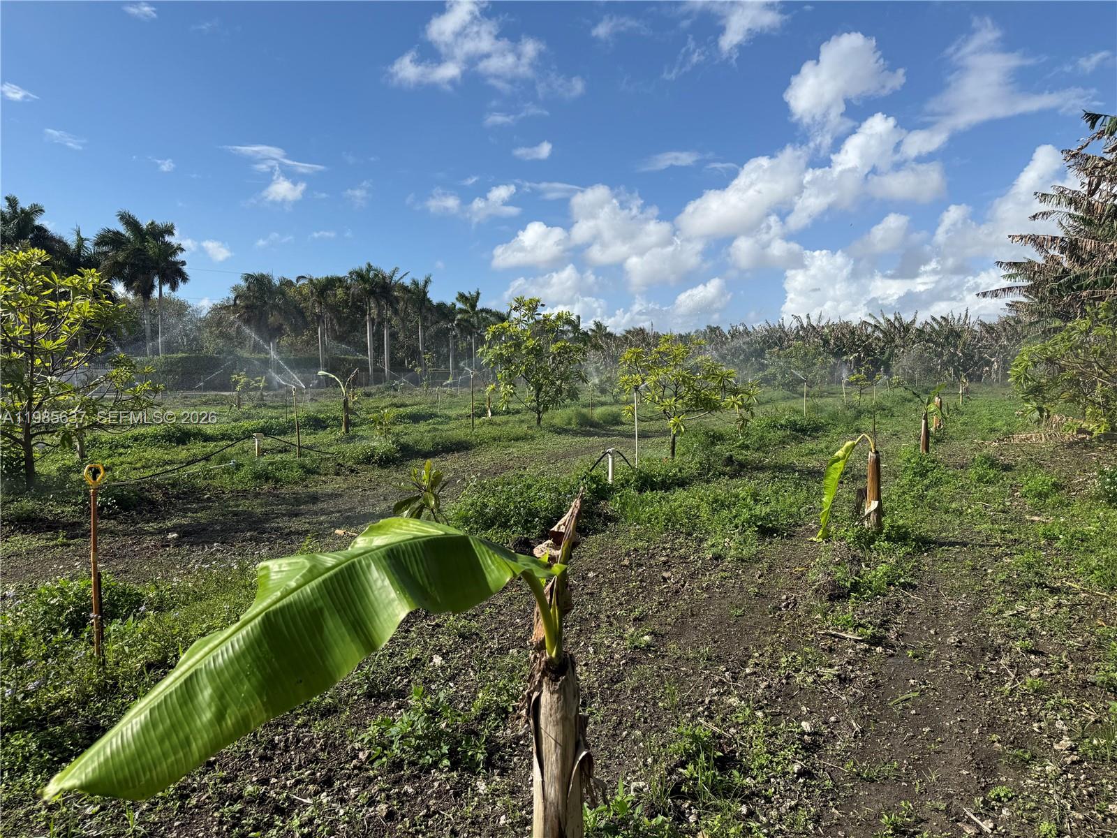 Unimproved Land