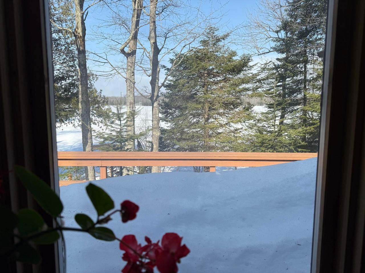 Birch Lake Property 7390 Birch Lake Rd W Photo 19