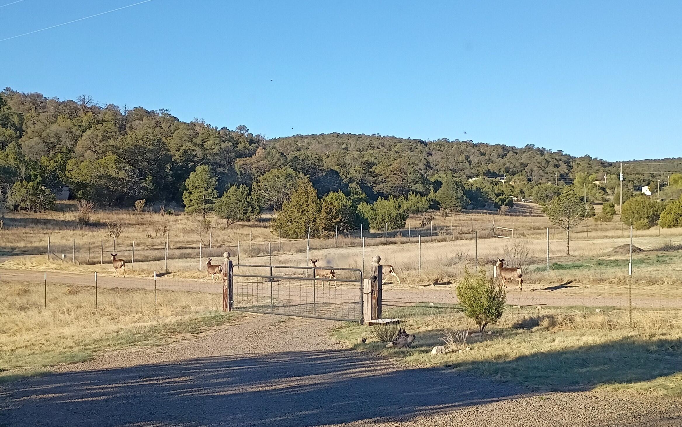 Homes for sale in Edgewood, NM | 3 Glacier Ln, Edgewood, NM 87015 | MLS# 1100558