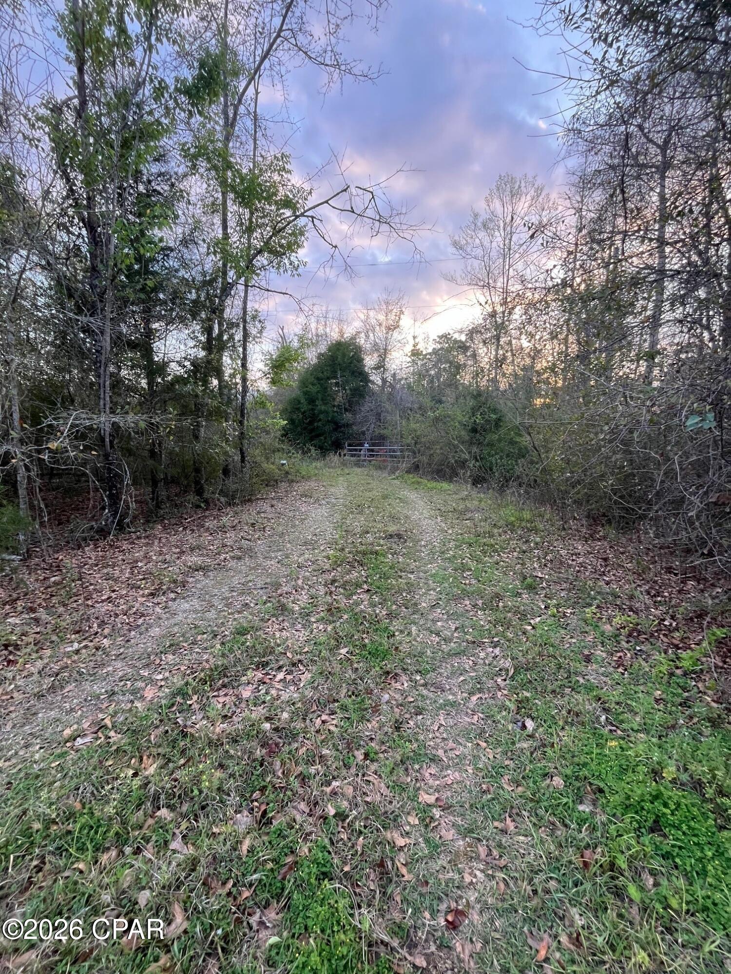 Details for 5372 Sonic Drive, Marianna, FL 32448