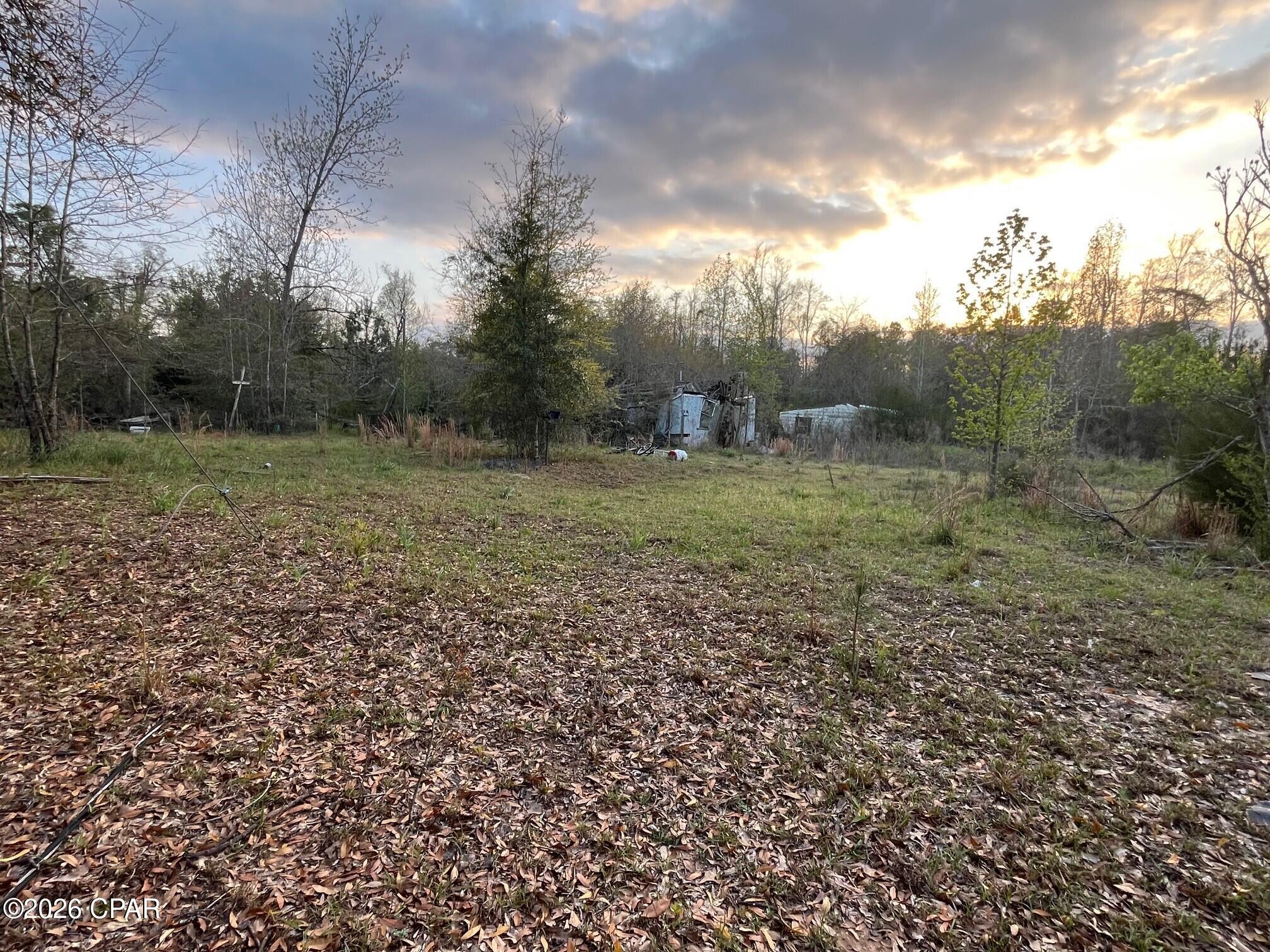 Image 7 For 5372 Sonic Drive