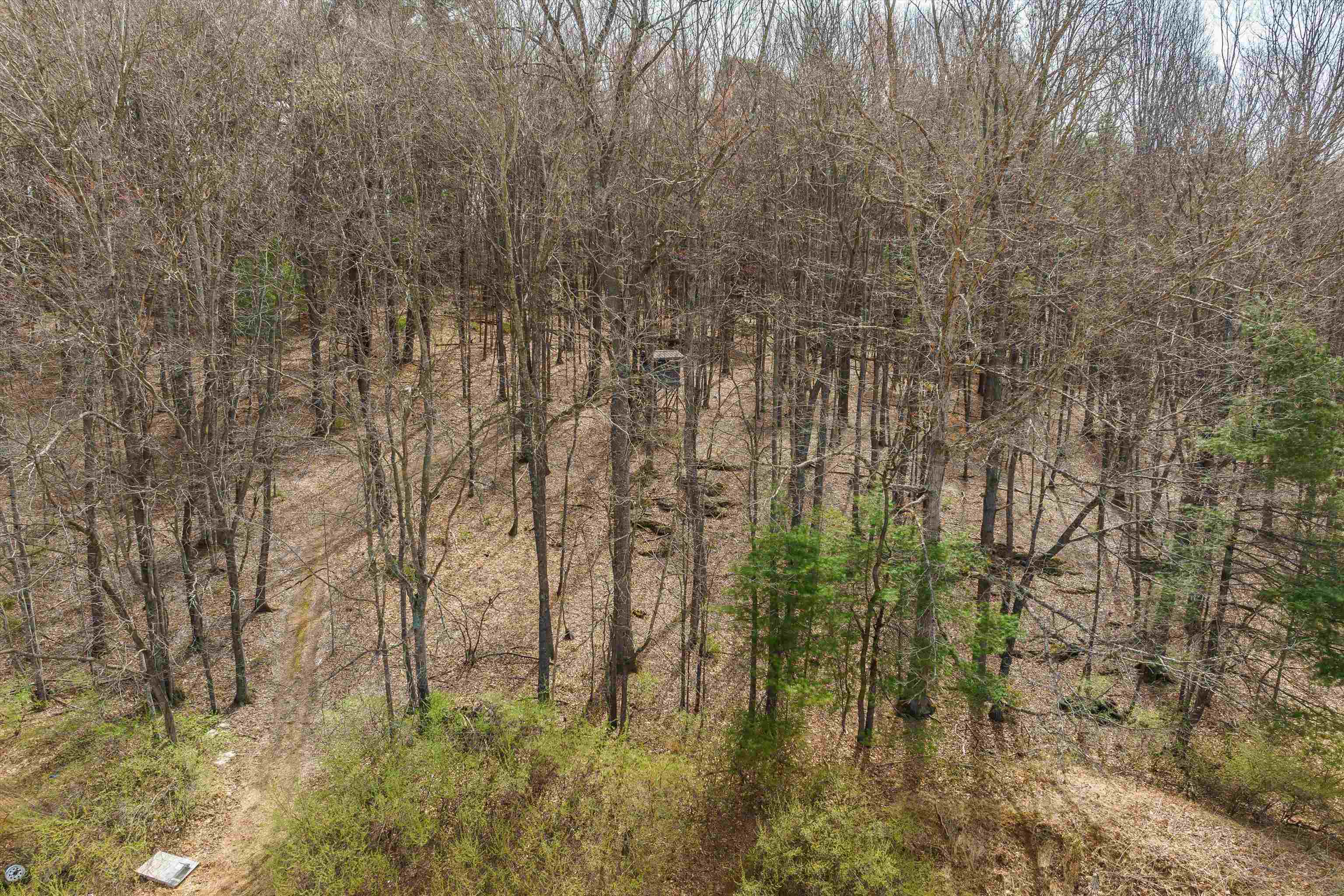 259 Taliaferro Dr
