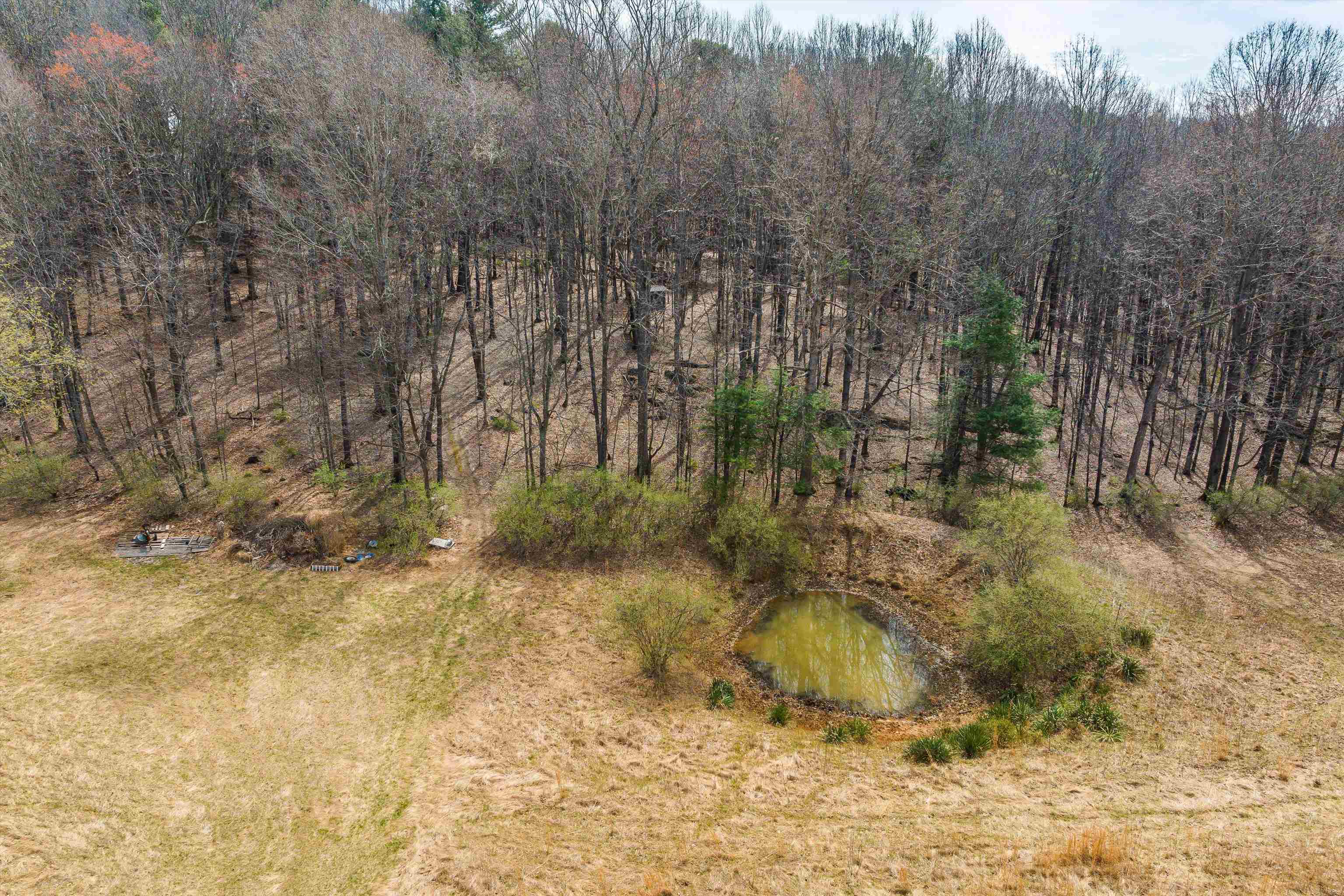 259 Taliaferro Dr