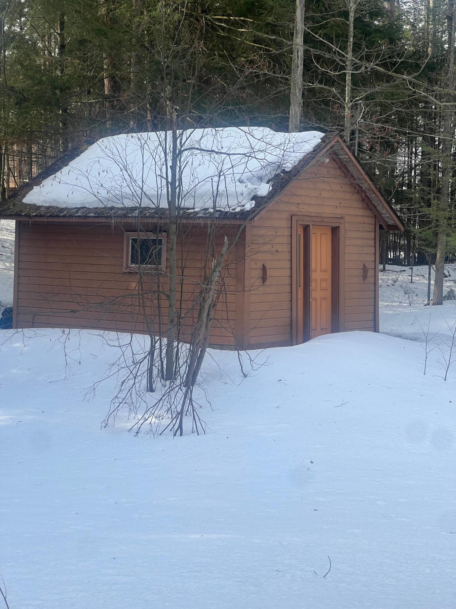 Sand Lake Property 8089 Nicks Ln Photo 3
