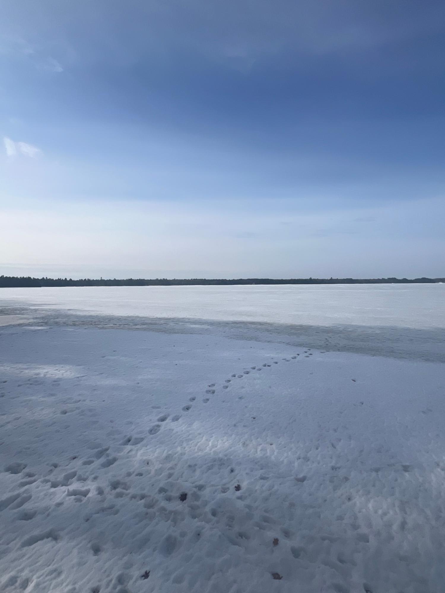 Sand Lake Property 8089 Nicks Ln Photo 33