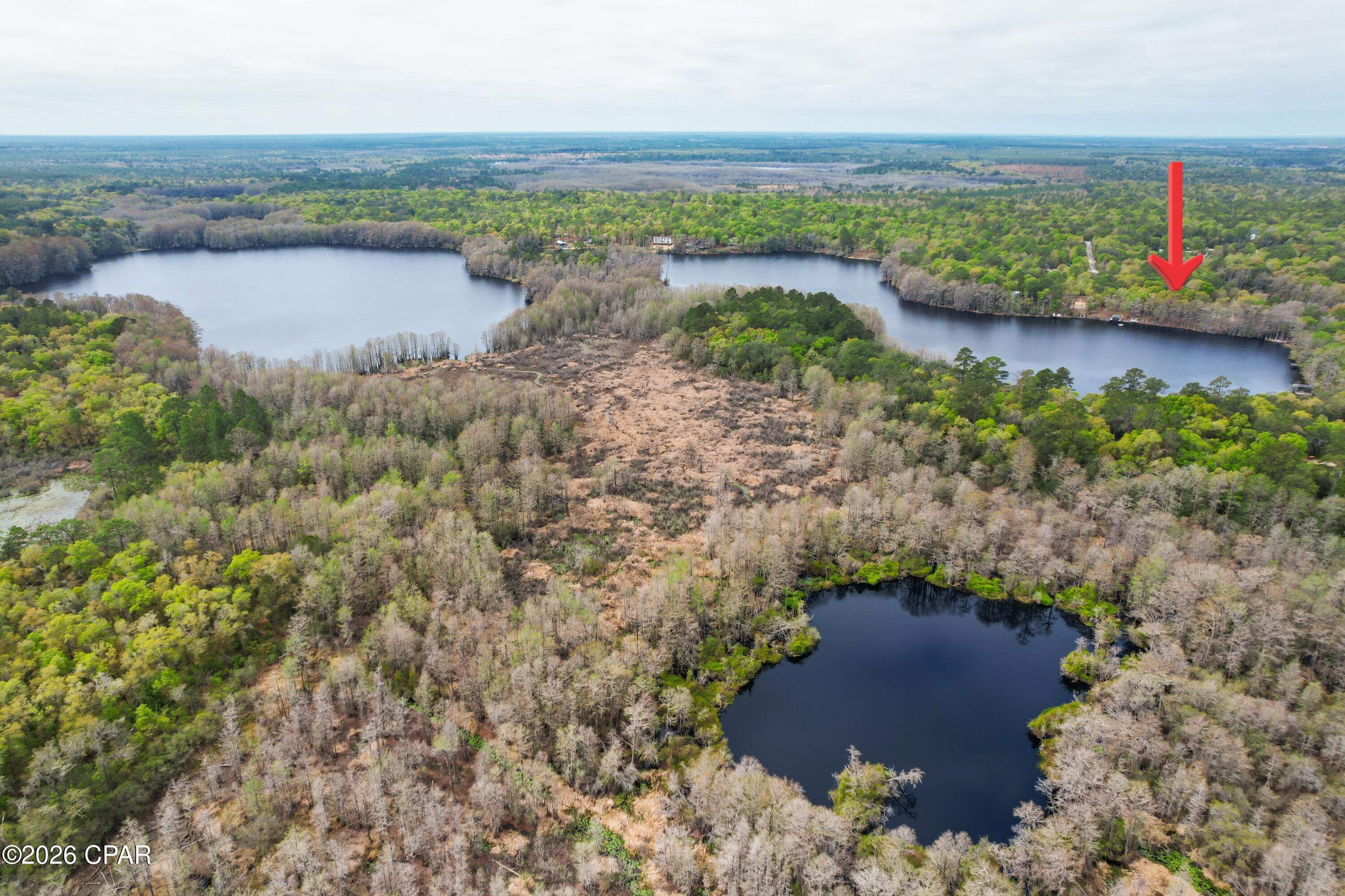 Image 14 For 2730 Mosquito Road