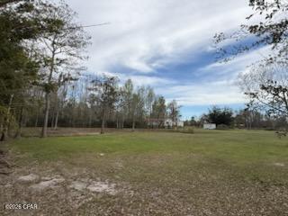 Image 3 For 6605 Bolivia Street