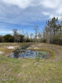 Image 4 For 6605 Bolivia Street