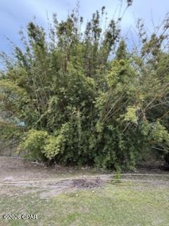 Image 6 For 6605 Bolivia Street