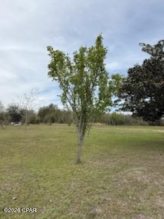 Image 7 For 6605 Bolivia Street