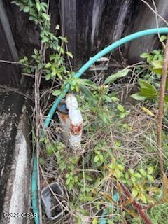 Image 8 For 6605 Bolivia Street