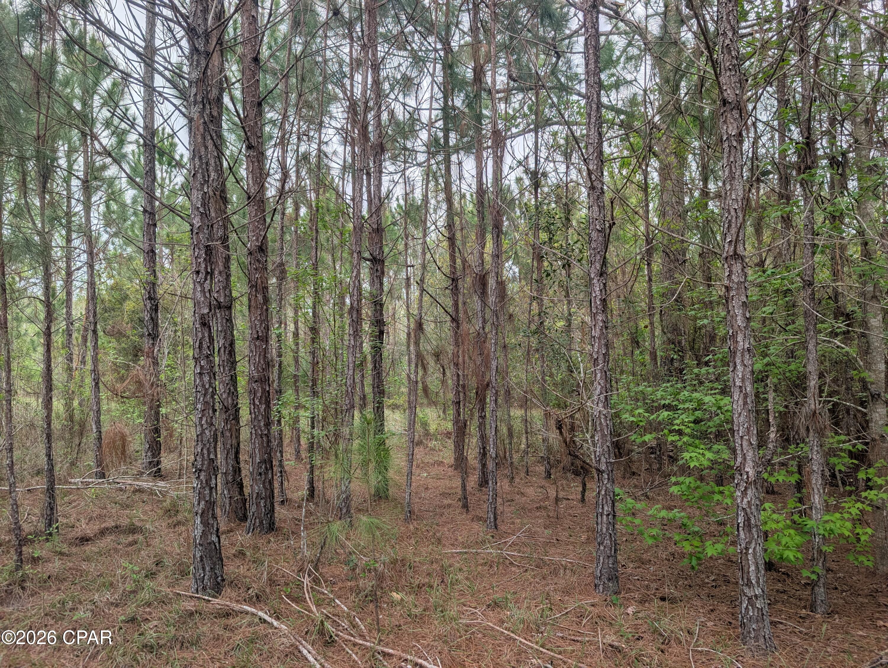 Image 1 For 0 Sumac Road Lot 49