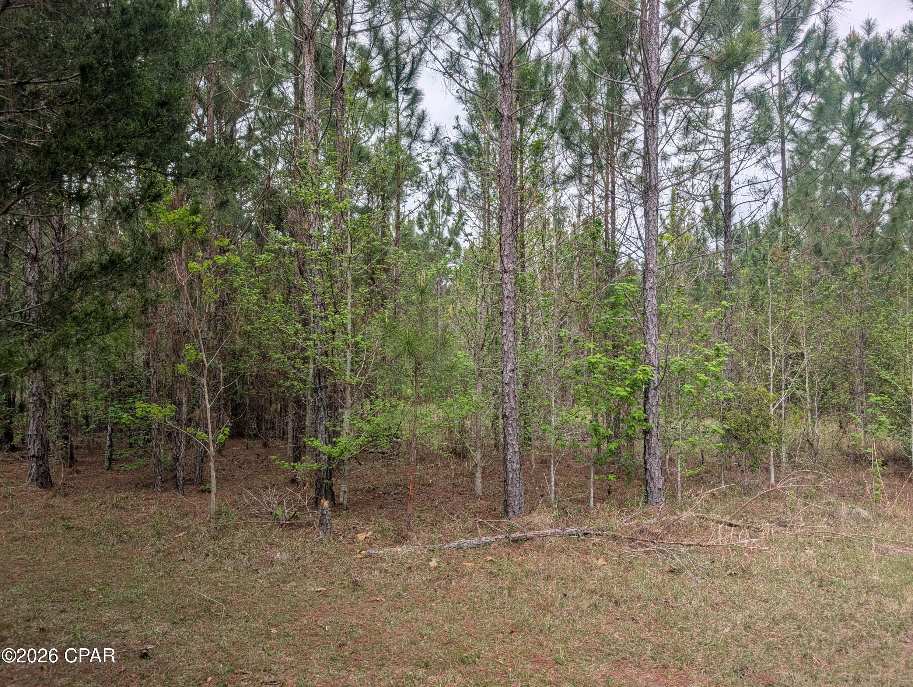 Image 2 For 0 Sumac Road Lot 49