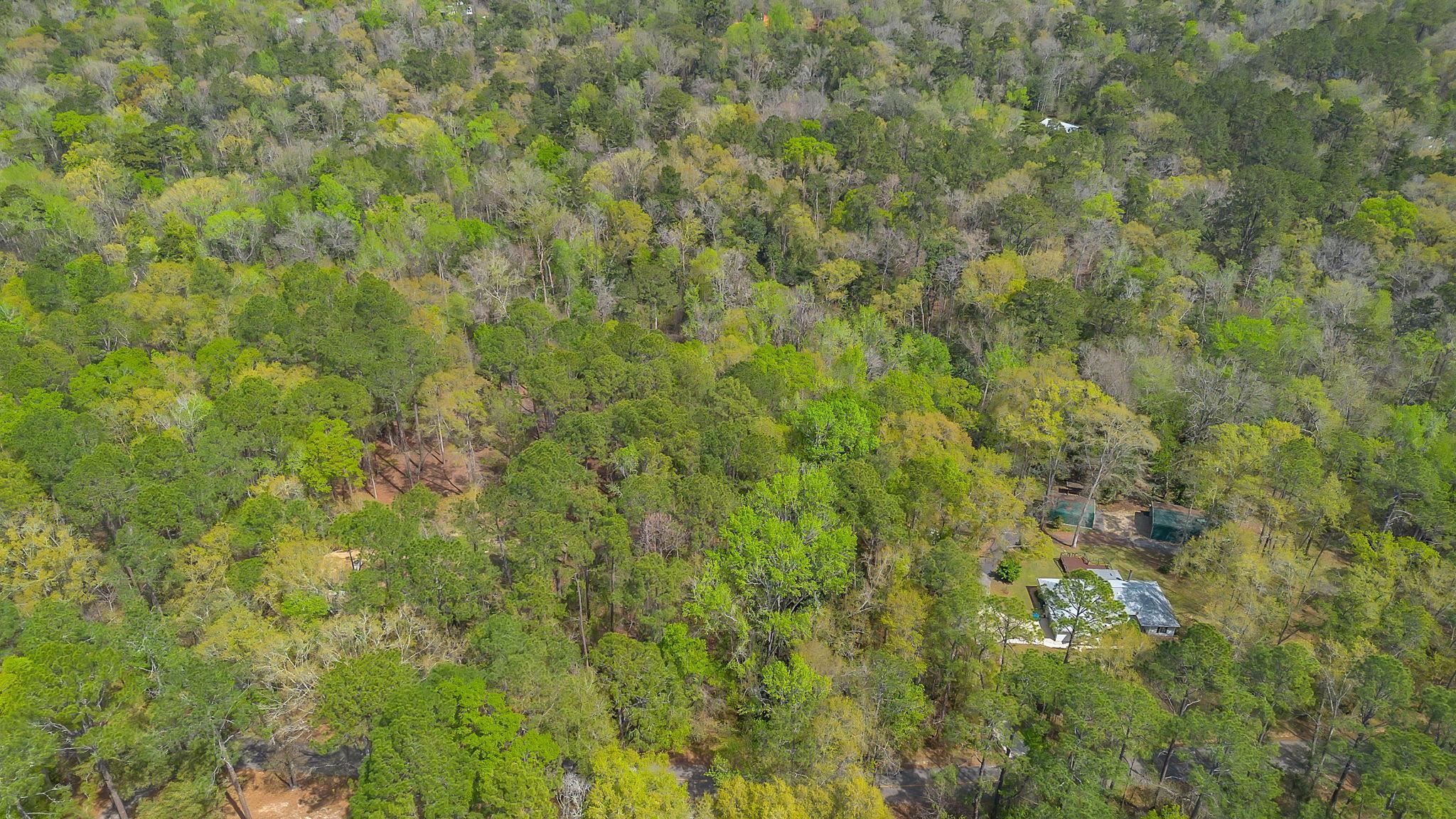 X  BEAVER CREEK Drive , Havana, FL, 32333