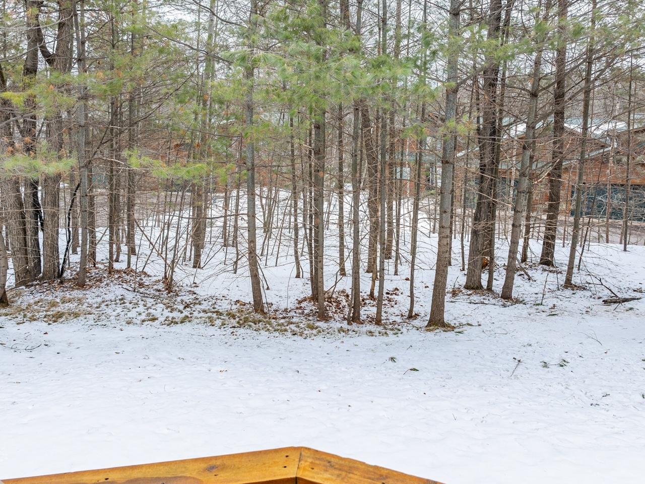 Big St. Germain Property 8832 Bradford Point Ct Photo 39