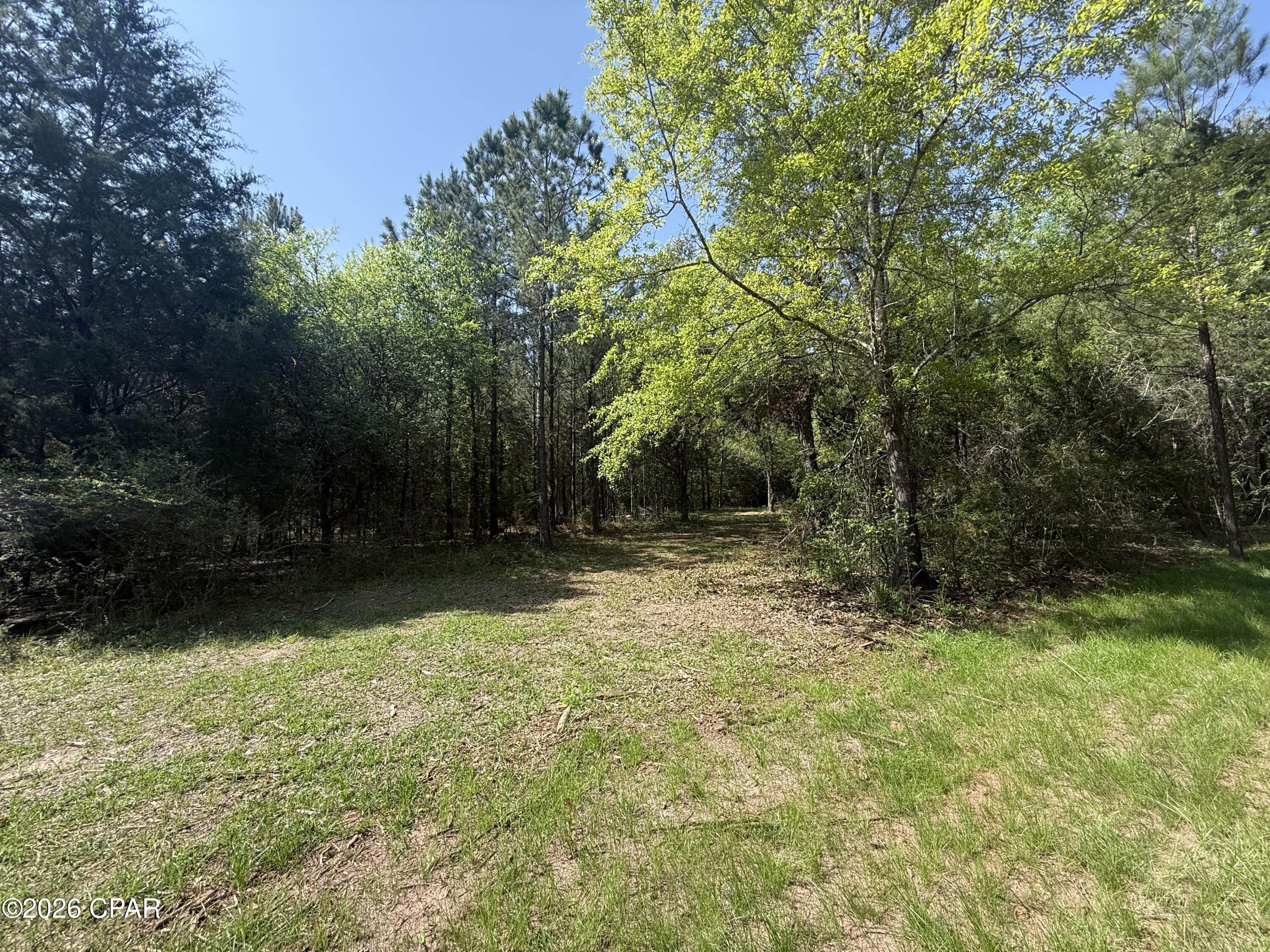 Details for Tbd Sheffield Drive, Marianna, FL 32446