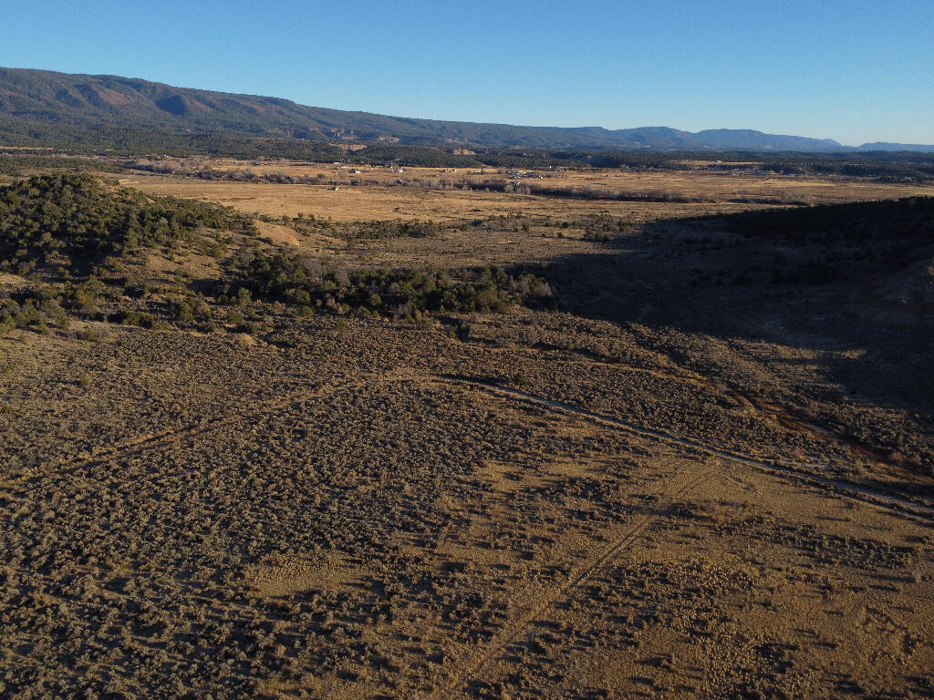 Homes for sale in La Jara, NM | 0 Banco Rd, La Jara, NM 87027 | MLS# 1100669