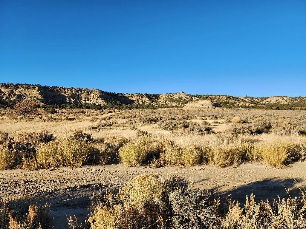 Homes for sale in La Jara, NM | 0 Banco Rd, La Jara, NM 87027 | MLS# 1100669