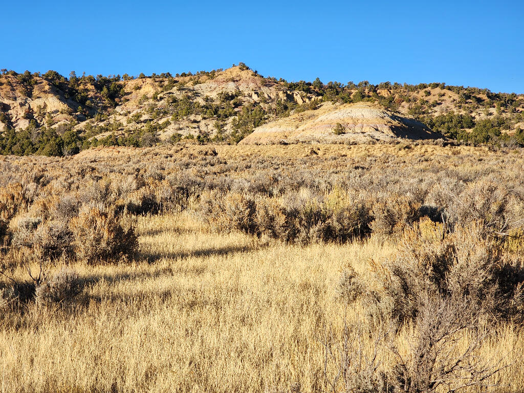 Homes for sale in La Jara, NM | 0 Banco Rd, La Jara, NM 87027 | MLS# 1100669