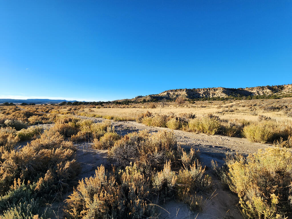 Homes for sale in La Jara, NM | 0 Banco Rd, La Jara, NM 87027 | MLS# 1100669
