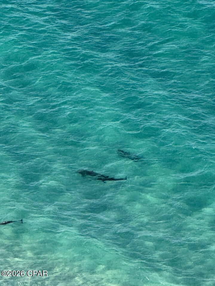 Image 21 For 16701 Front Beach Road 805