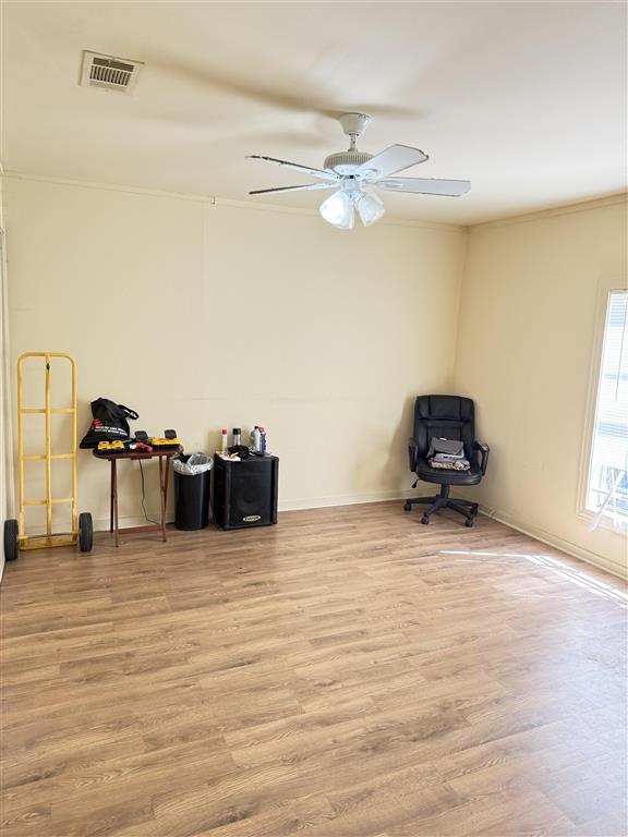 902 Live Oak Street — photo 5