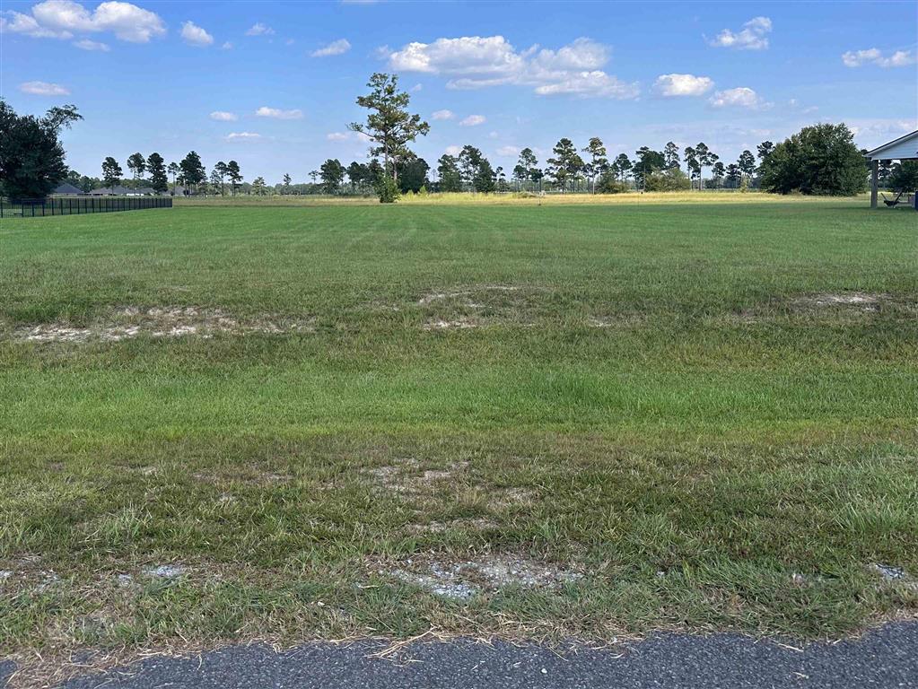 3248 Talon Lane Lot 10 — photo 3