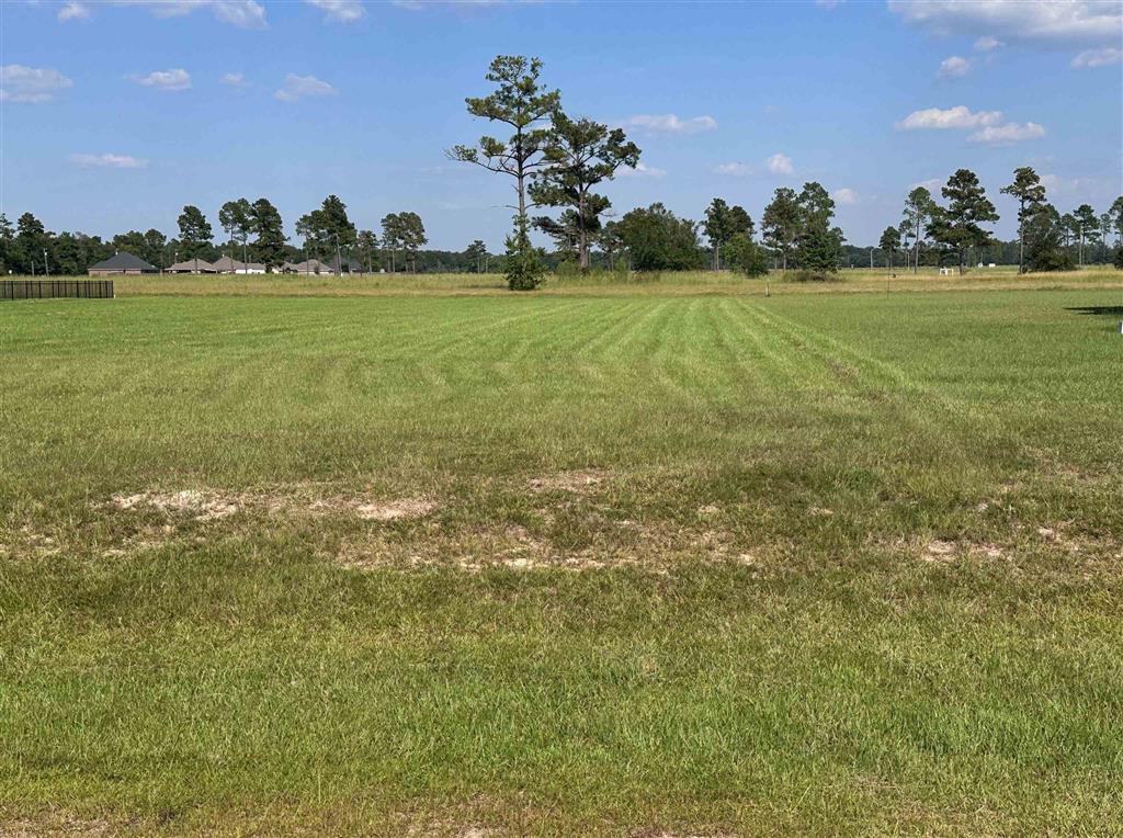 3248 Talon Lane Lot 10 — photo 4