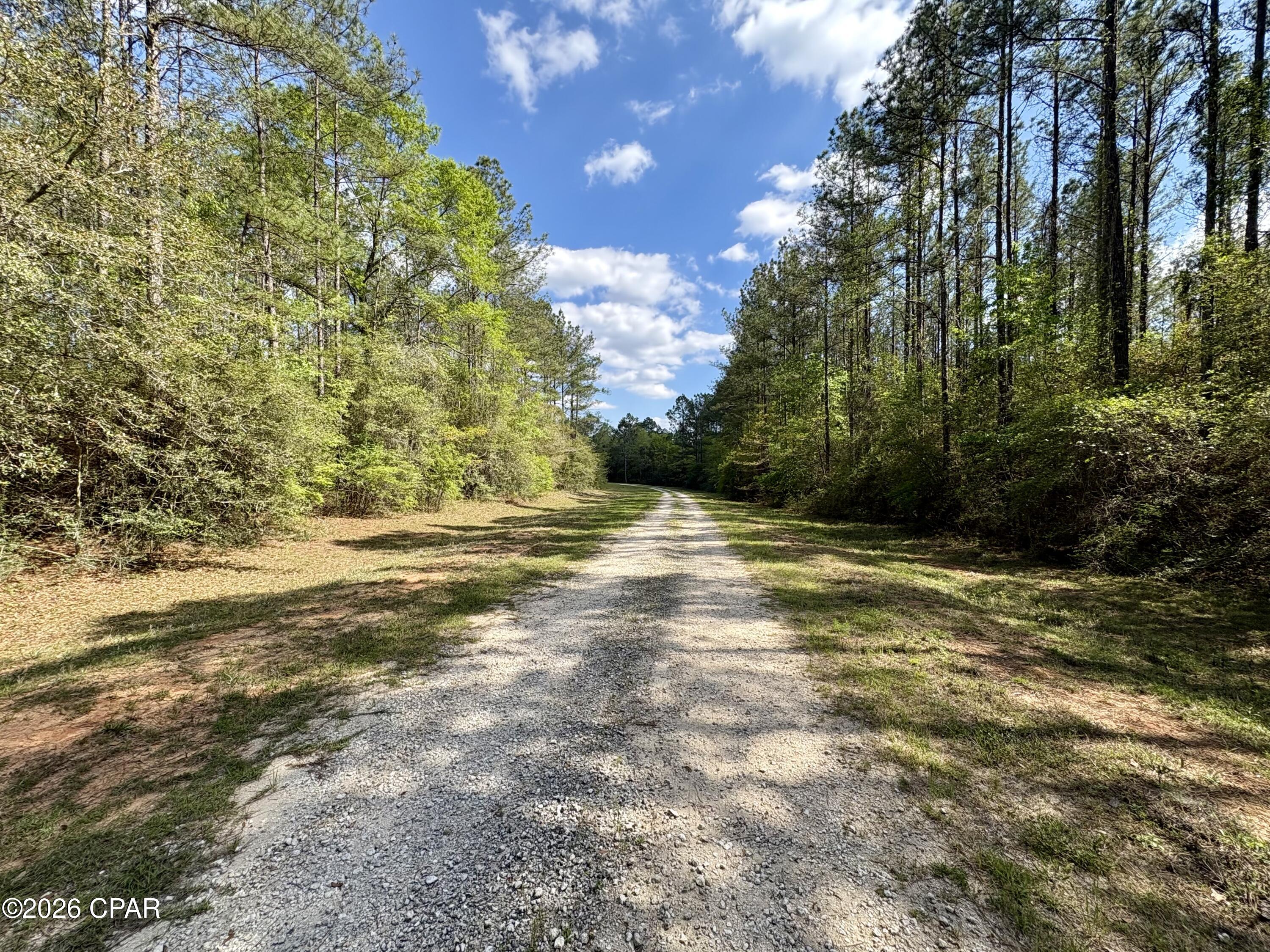 Details for Lot 11 Beech Drive, Westville, FL 32464