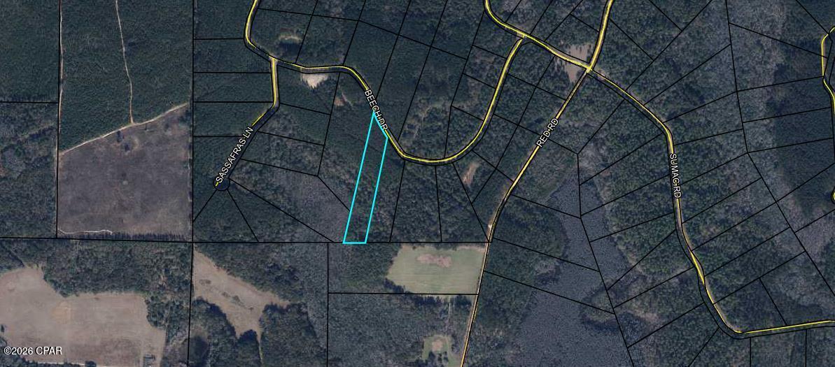 Image 2 For Lot 11 Beech Drive