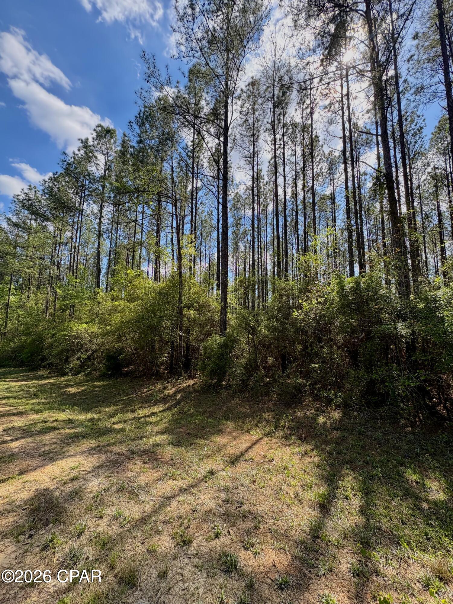 Image 3 For Lot 11 Beech Drive