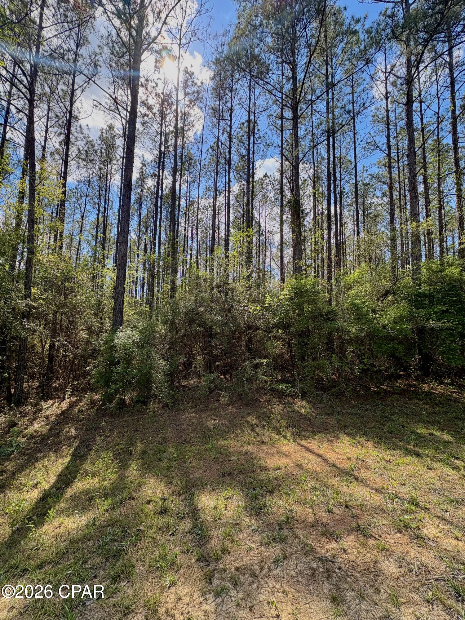 Image 4 For Lot 11 Beech Drive