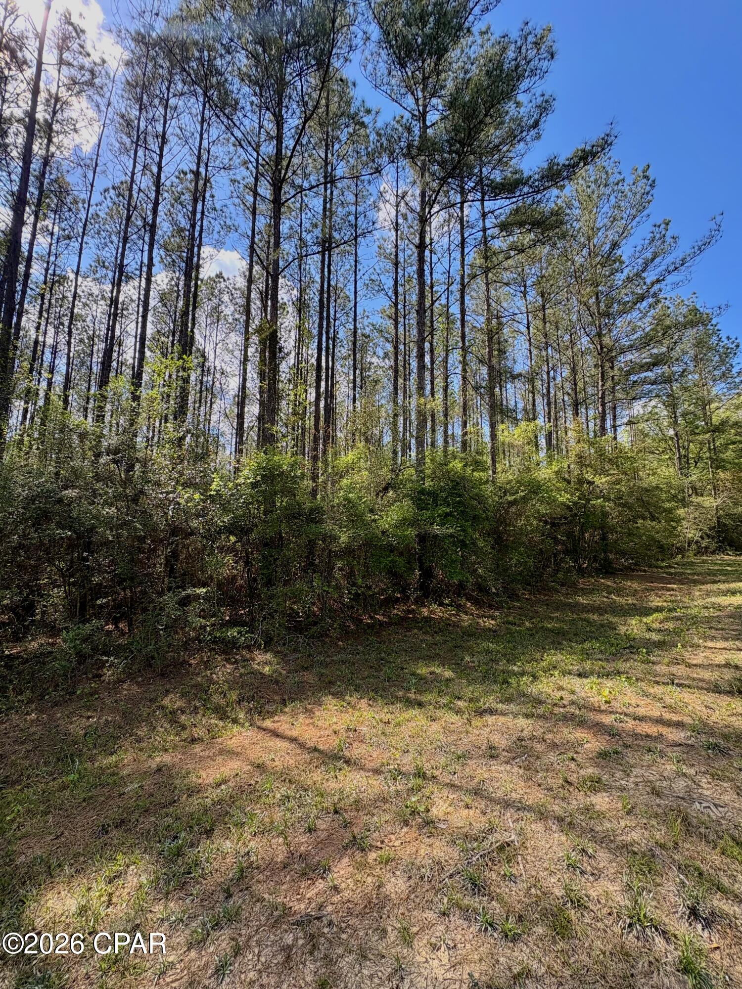 Image 5 For Lot 11 Beech Drive