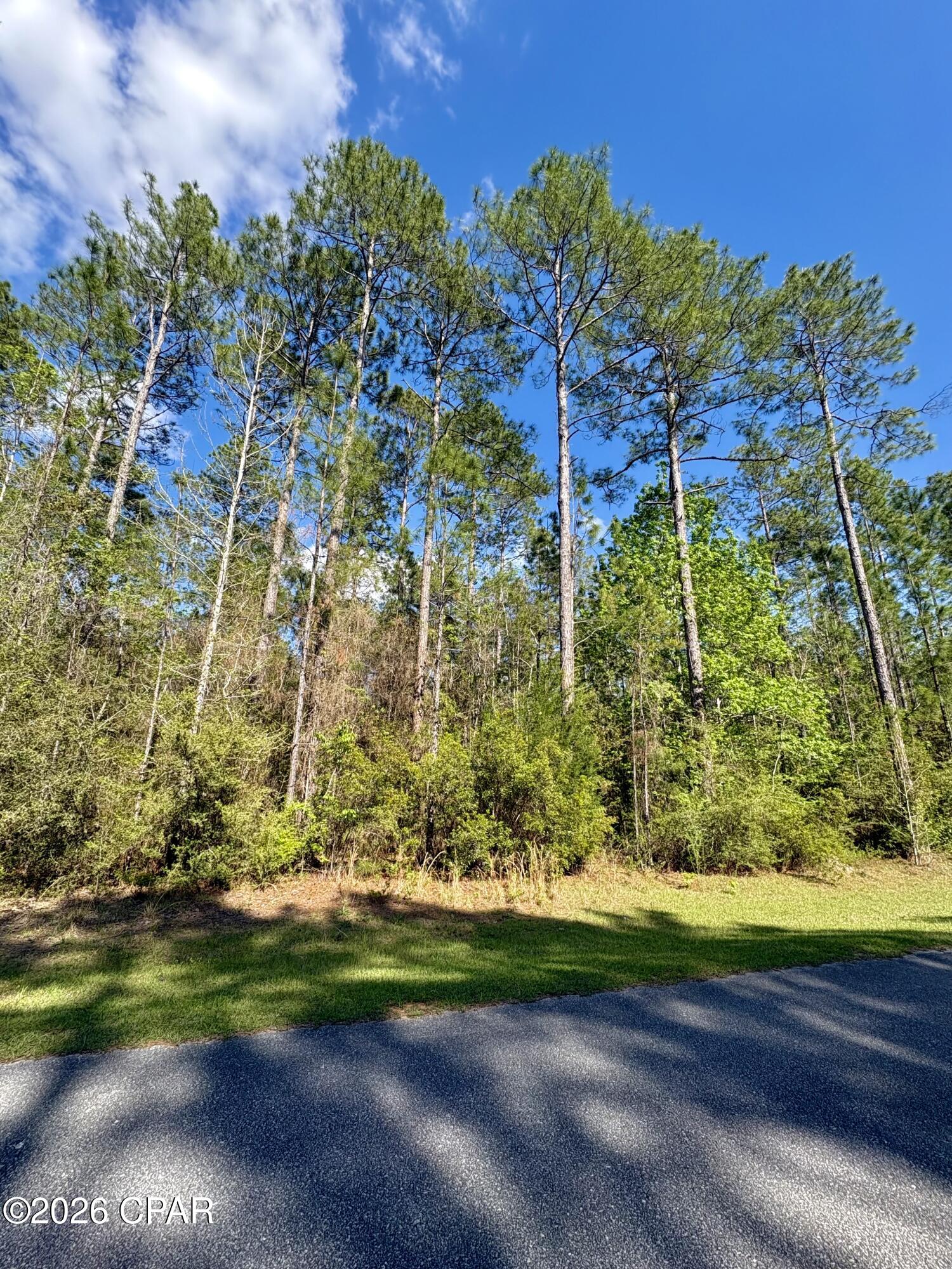 Image 1 For Lot 11 Cypress Crossing Road