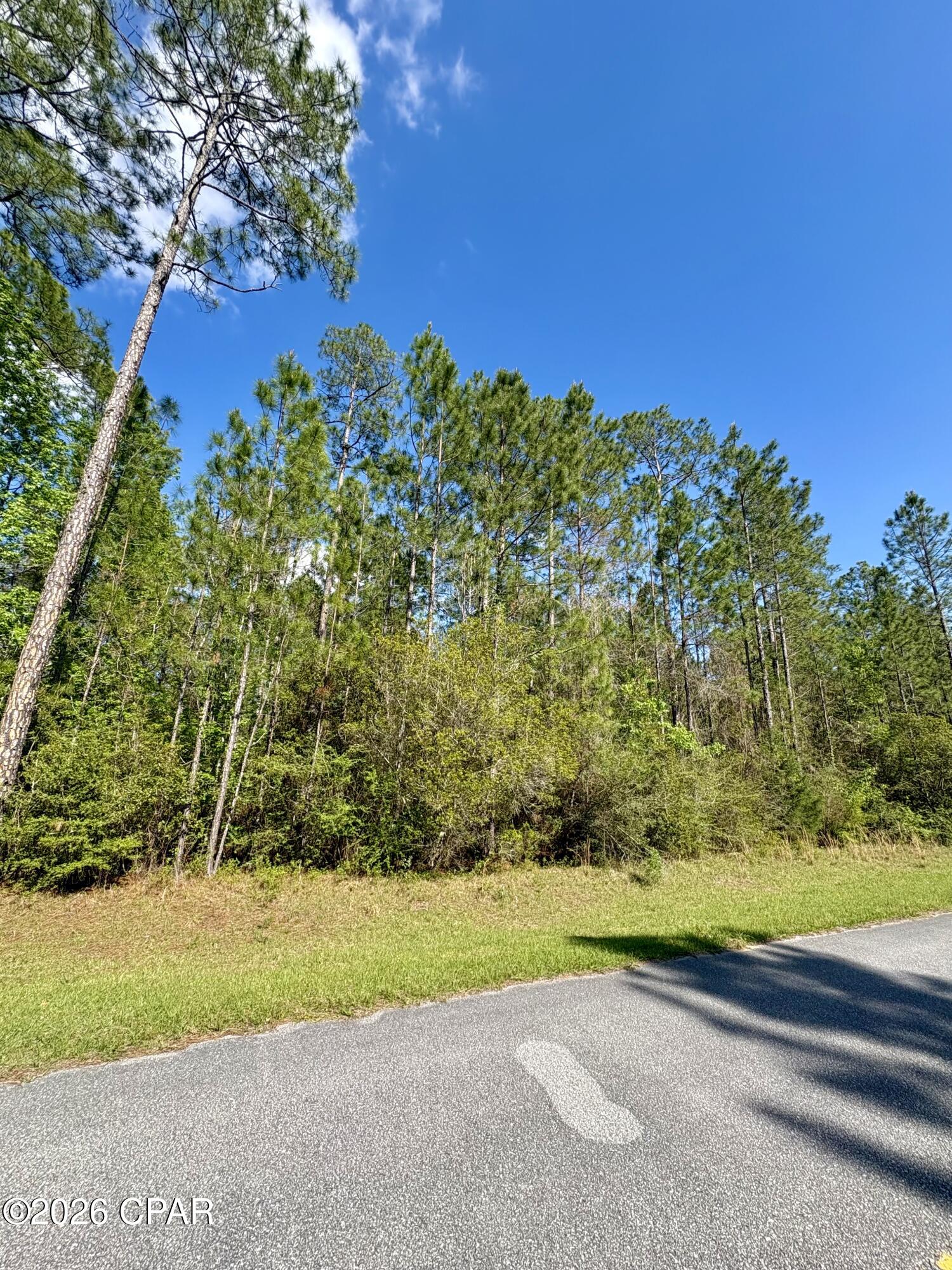Image 5 For Lot 11 Cypress Crossing Road