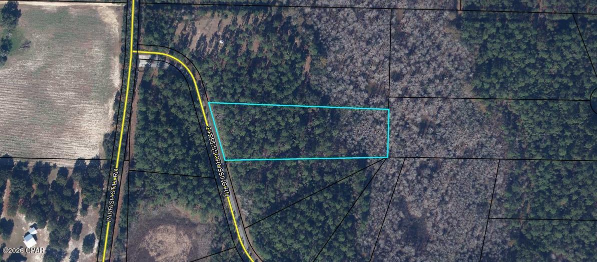 Image 8 For Lot 11 Cypress Crossing Road