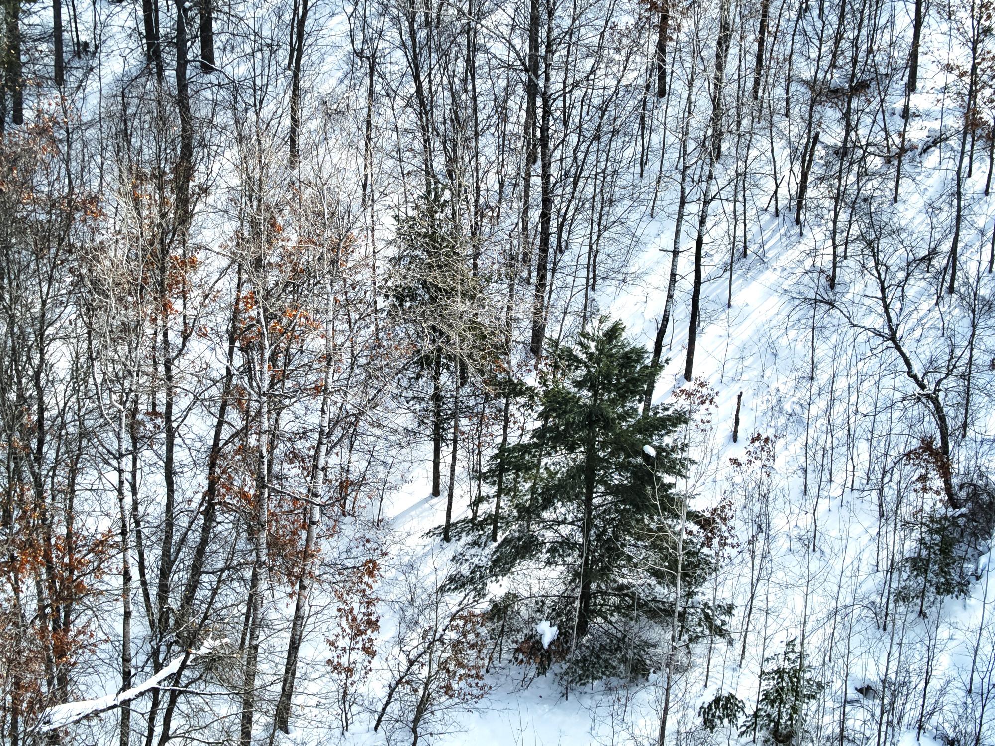 Sumach Lake Property lot Propwash Bay Rd Photo 5